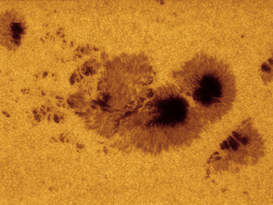 AR1520_071112friedman900.jpg