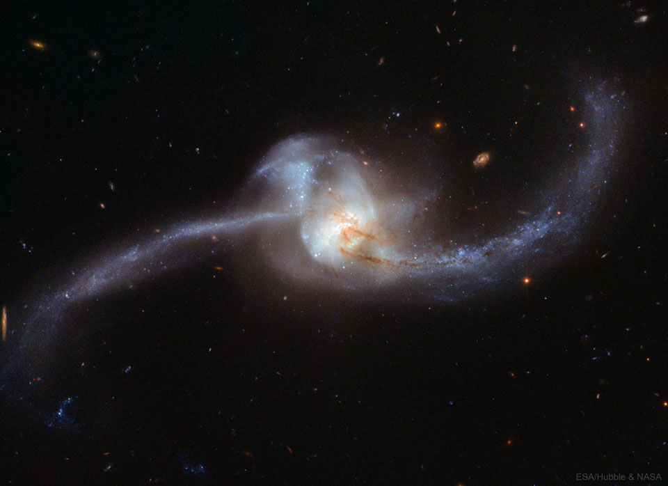 Arp243_Hubble_960.jpg