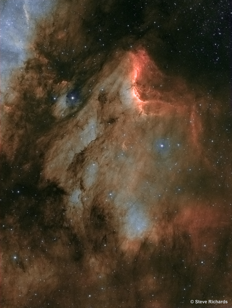 IC5070_Pelican_Nebula_Steve_Richards1024.jpg