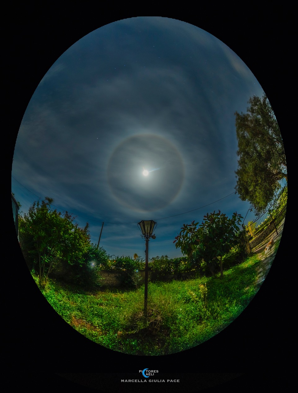 MoonHalo_pace.jpg