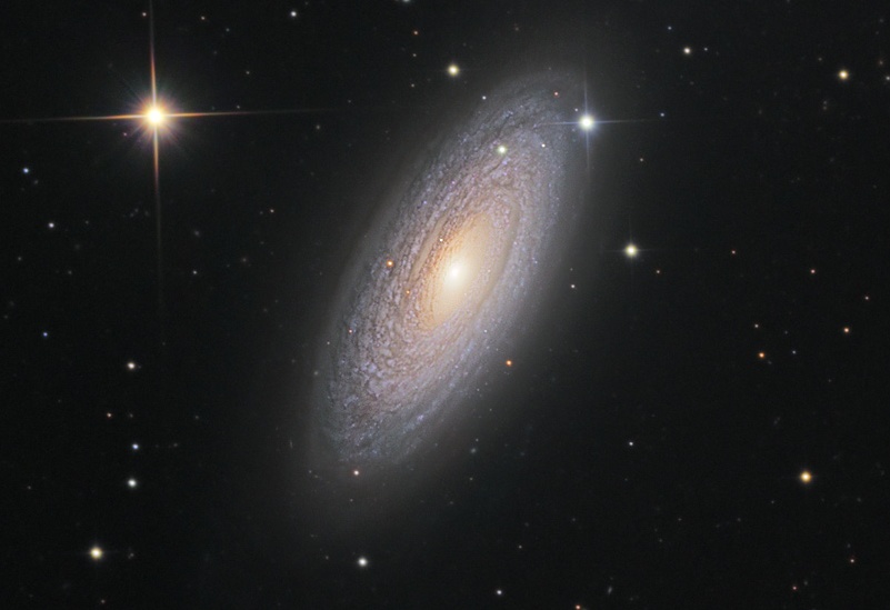 NGC2841cass50_schedler_c800.jpg