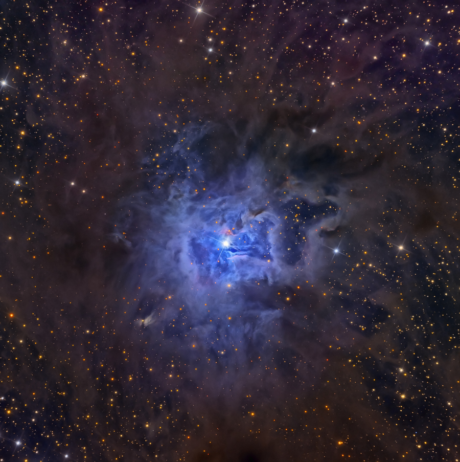 NGC7023Walker900.jpg