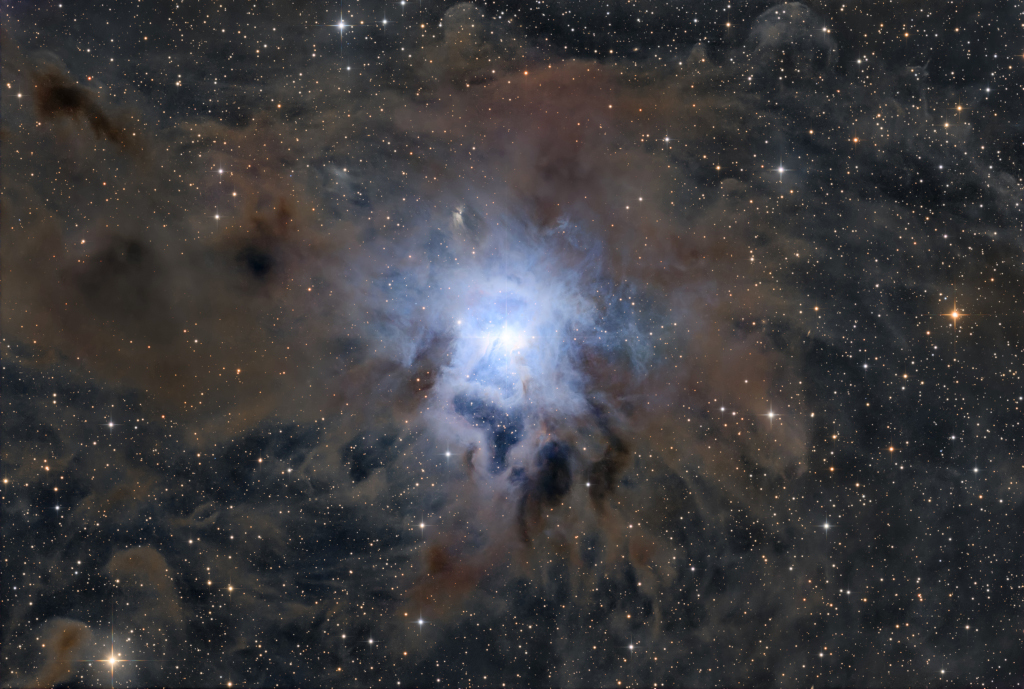 NGC7023_Falk1024.jpg