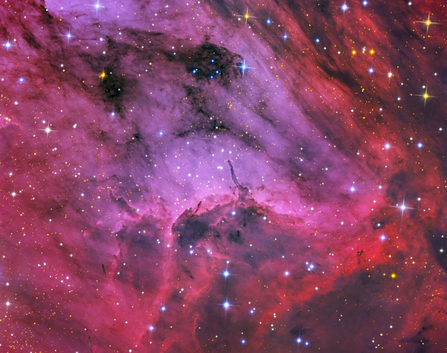 PelicanIC5067_hallas900c.jpg