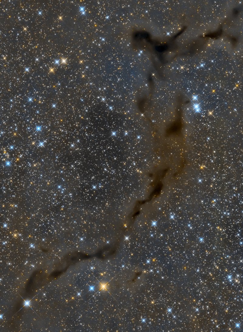b150_avitabile1092c.jpg