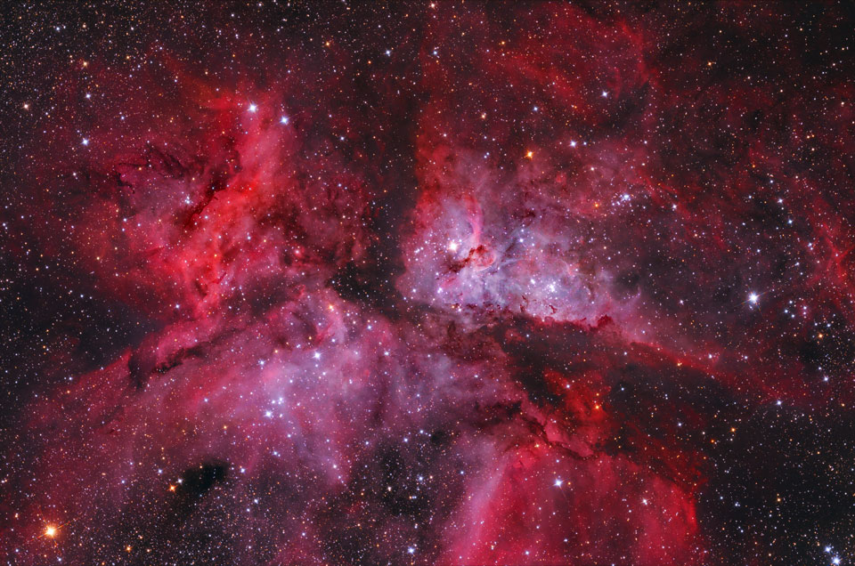 carina_fenyes_960.jpg