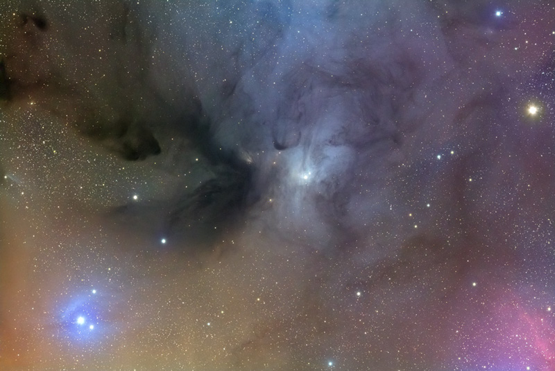 ic4603_yoshida.jpg