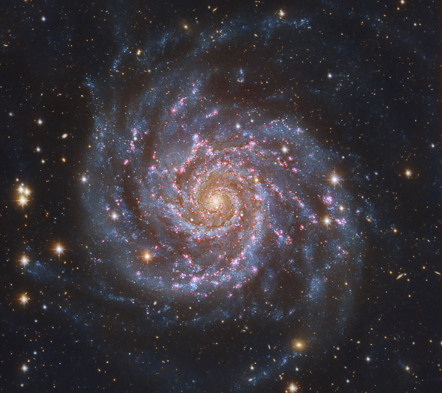 m74_baixauli_900.jpg