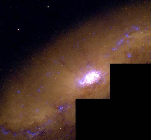 ngc1808wide_hst.jpg