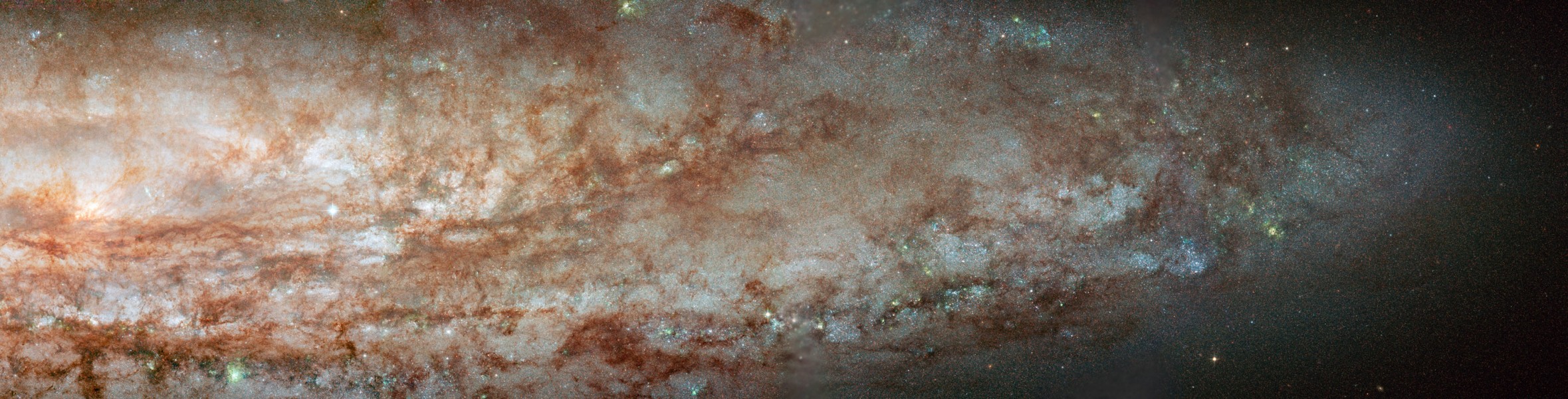 ngc253wide_hst_600w.jpg