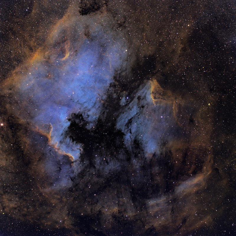 ngc7000_pugh800.jpg