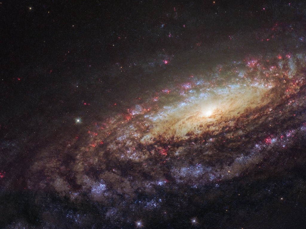 potw1805a_ngc7331S1024.jpg